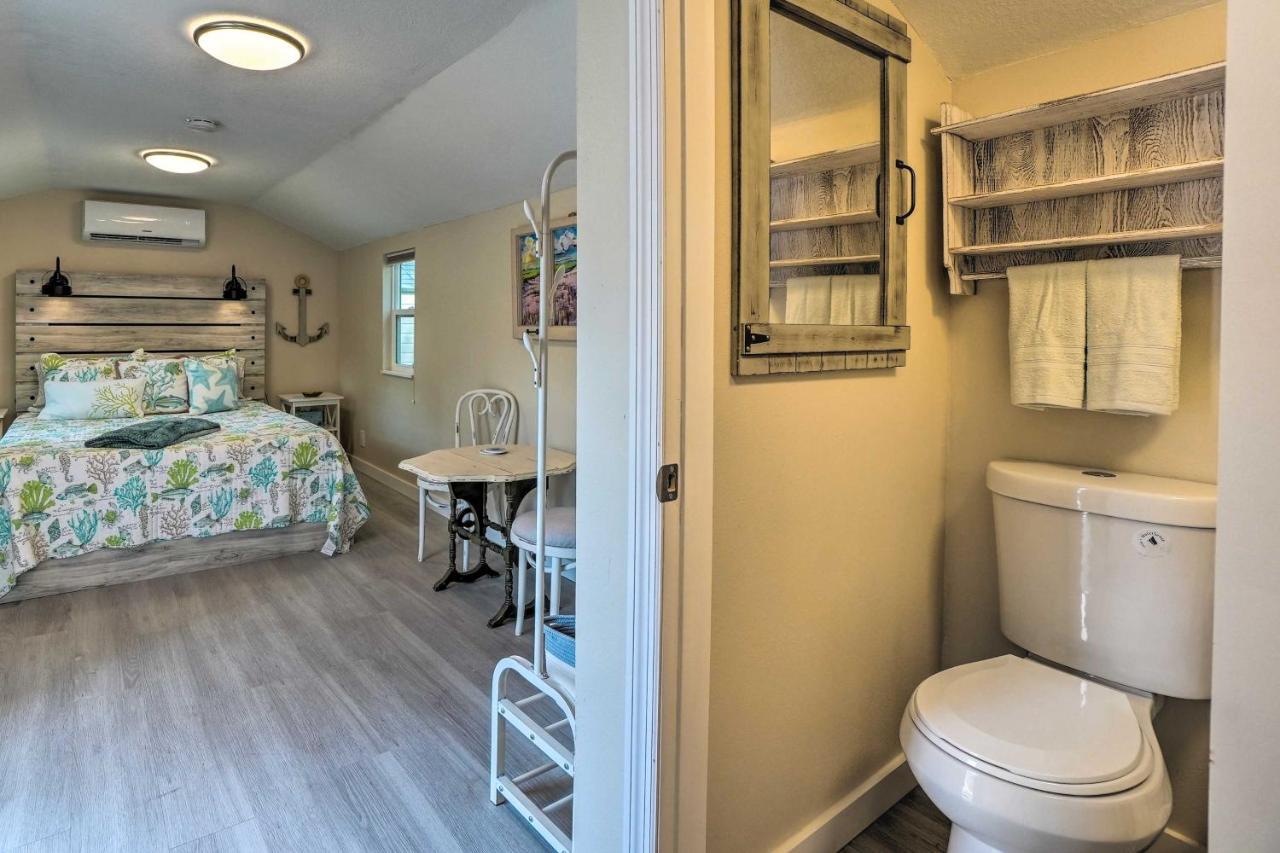 Tropical Palm Harbor Studio Walk To Gulf! Extérieur photo